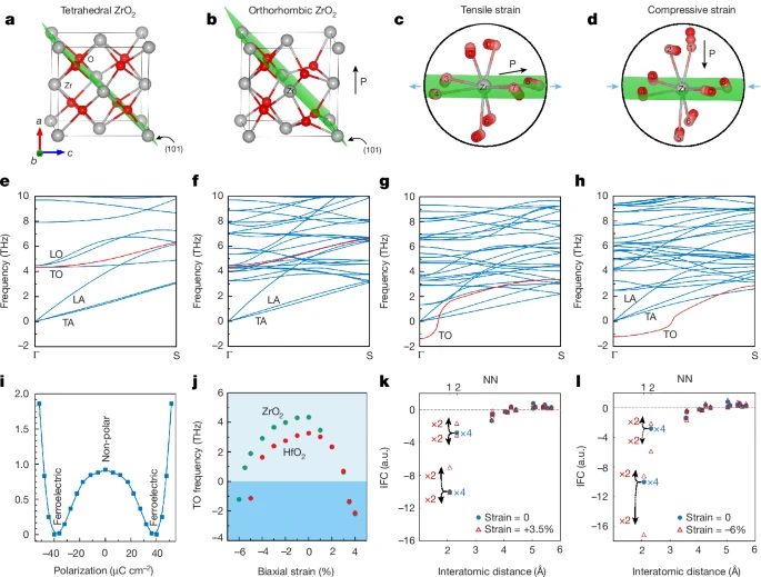 中国科学院，最新Nature！