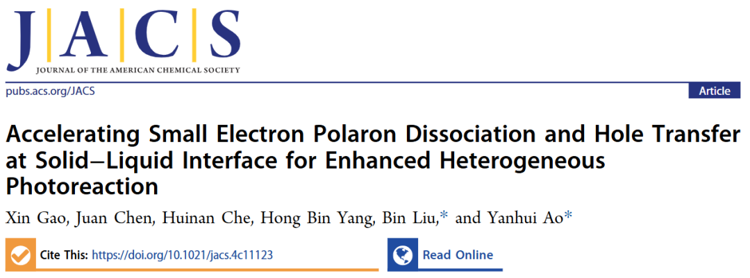 684倍！河海&港城大，最新JACS！