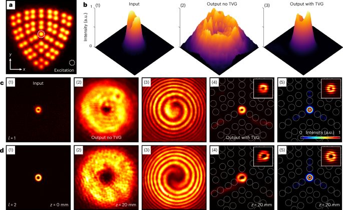 IF=32.3！南开大学，Nature Photonics！