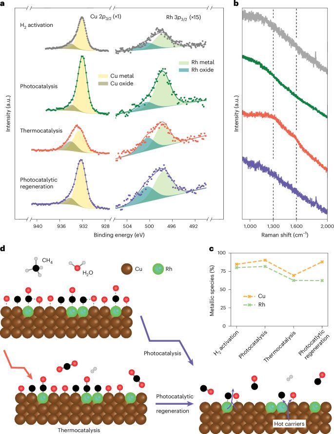 三院院士领衔！光催化，再登Nature Catalysis！