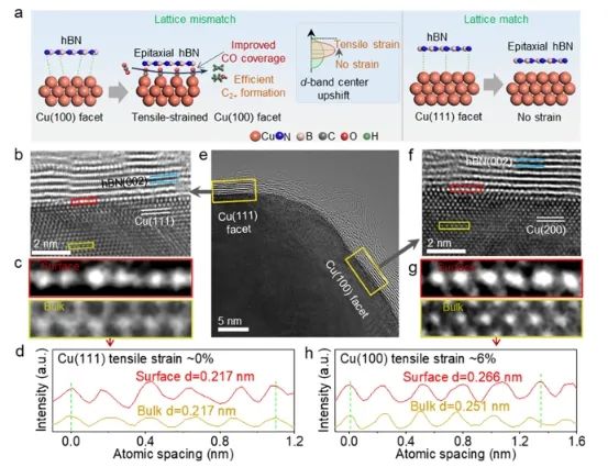 中南大学，Nano Lett.: Cu表面外延生长六方氮化硼，诱导高拉伸应变促进CO2电还原