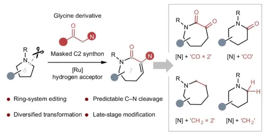 他，留学MIT/耶鲁，博毕5年任211教授/「国家高层次青年人才」，新发Nature Chemistry！