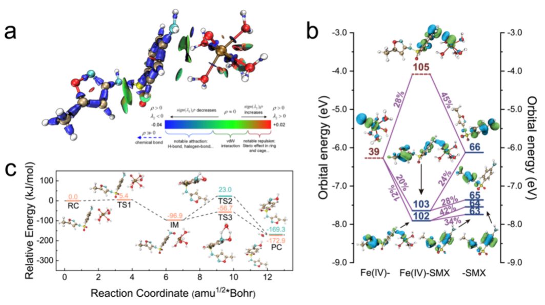 684倍！河海&港城大，最新JACS！