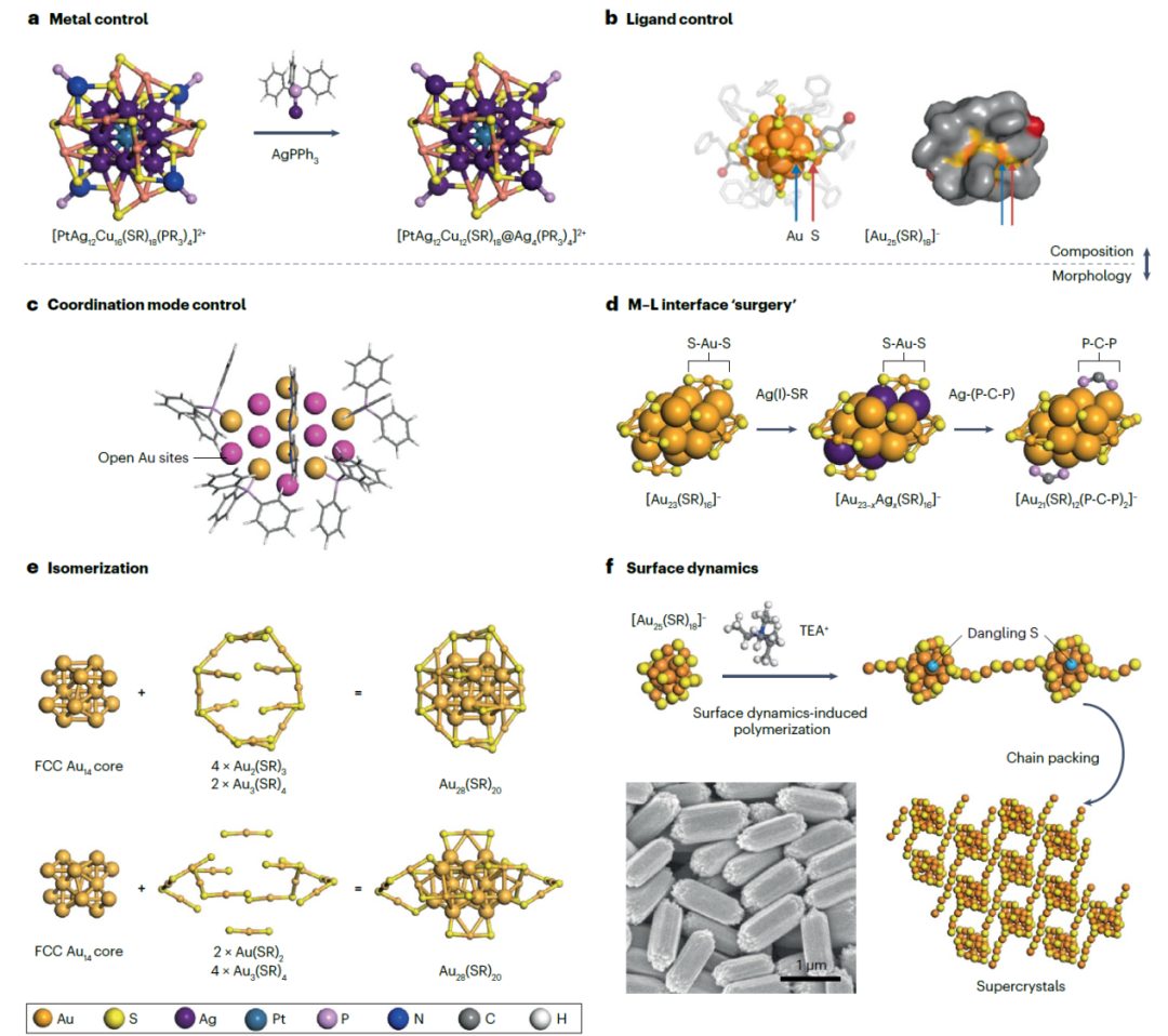 天津大学胡文平/姚桥峰、新加坡国立大学谢建平Nature Reviews Materials综述