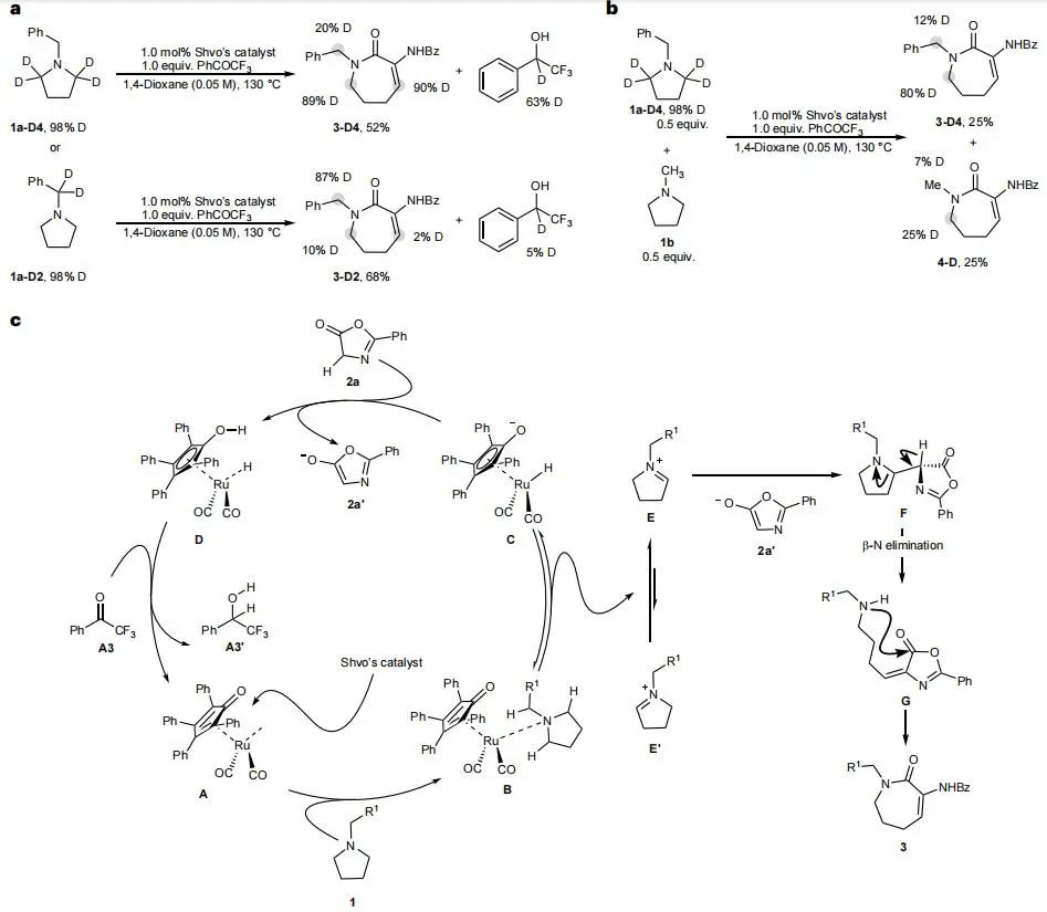 他，留学MIT/耶鲁，博毕5年任211教授/「国家高层次青年人才」，新发Nature Chemistry！