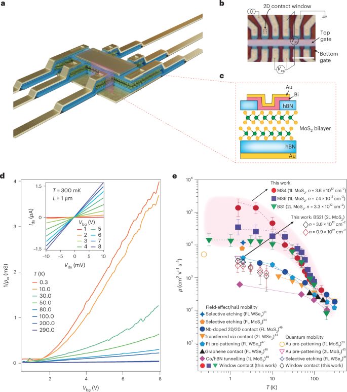 牛！山西大学/辽宁材料实验室韩拯团队，不到五个月，发完Nature，再发Nature Electronics！