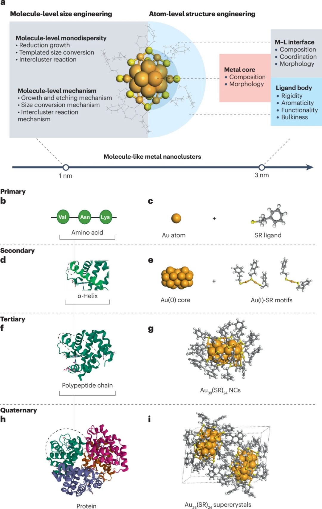 天津大学胡文平/姚桥峰、新加坡国立大学谢建平Nature Reviews Materials综述