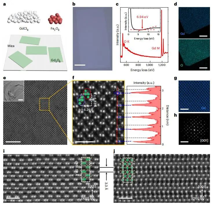 投稿到接收历时近1年！武汉大学「国家杰青」团队，重磅Nature Materials！