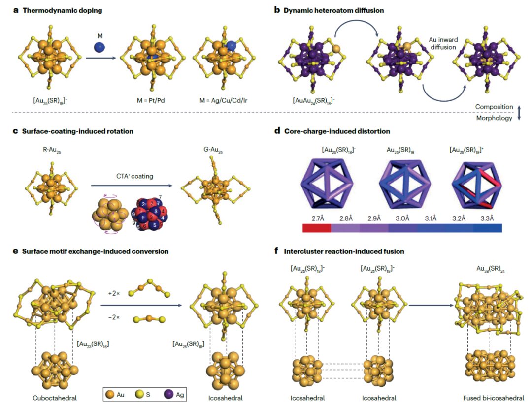 天津大学胡文平/姚桥峰、新加坡国立大学谢建平Nature Reviews Materials综述