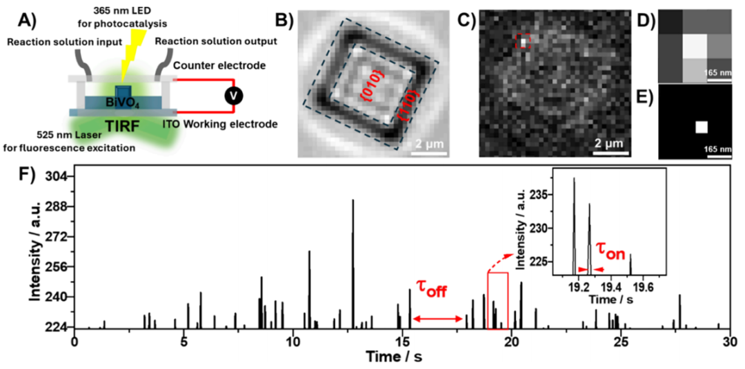 双非院校「国家优青」团队，最新JACS！