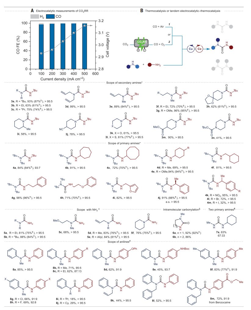 重磅！中科院兰州化物所，首篇Science！