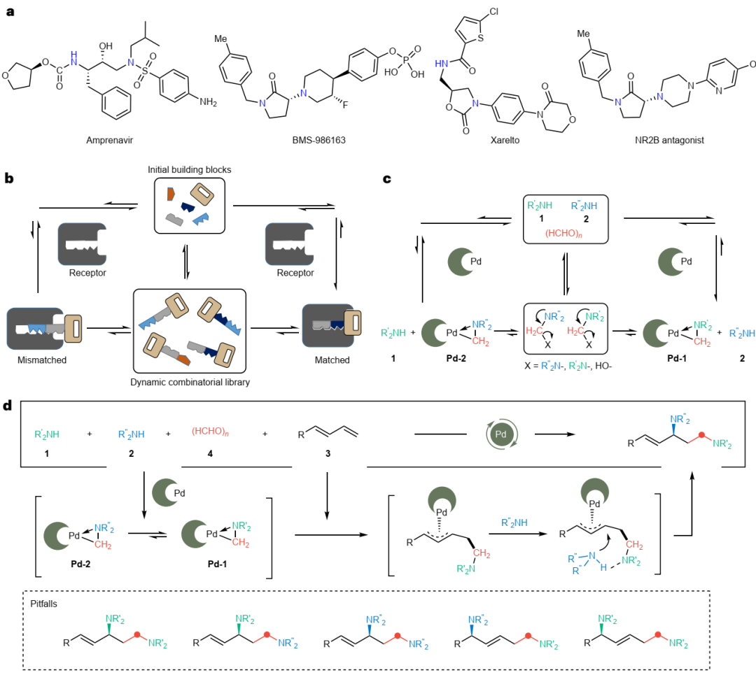 中科大「国家杰青」黄汉明，最新Nature Chemistry！