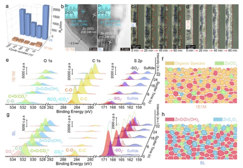 【MS发顶刊】东北师大，JACS！分子协同效应介导高效界面化学实现无枝晶锌阳极！