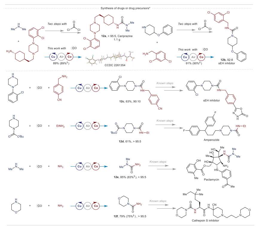 重磅！中科院兰州化物所，首篇Science！