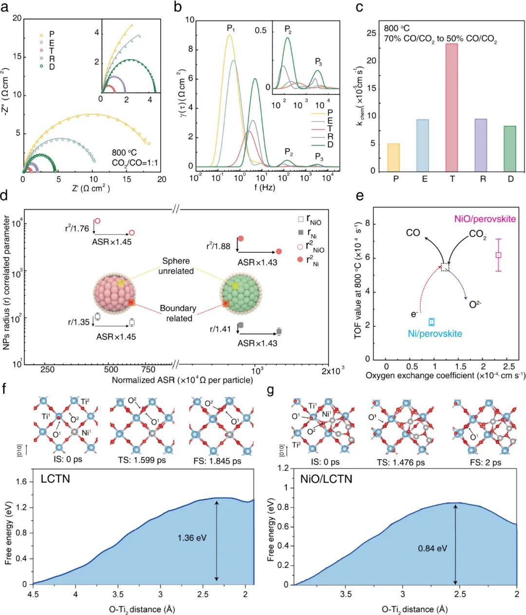 每秒70500次！中山大学&厦门大学，新发JACS！