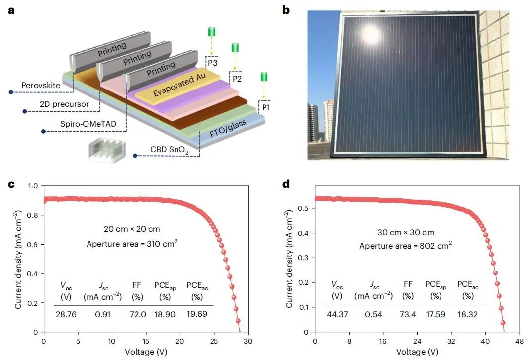 后浪！他，「90后」博导，211「国家优青」，联手「国家杰青」，新发Nature Energy！