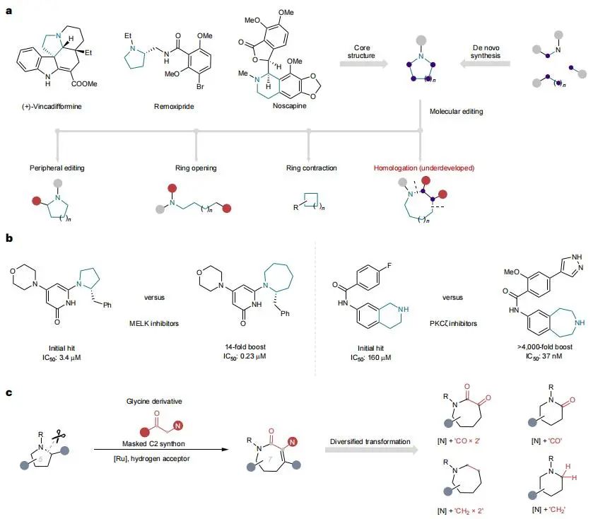 他，留学MIT/耶鲁，博毕5年任211教授/「国家高层次青年人才」，新发Nature Chemistry！