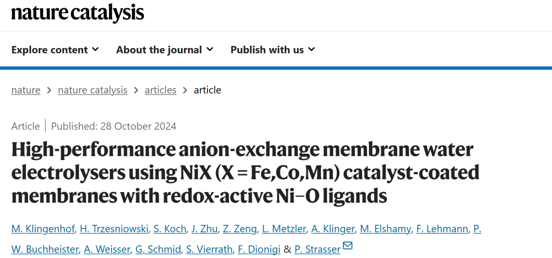 催化大牛P. Strasser，新发Nature Catalysis！