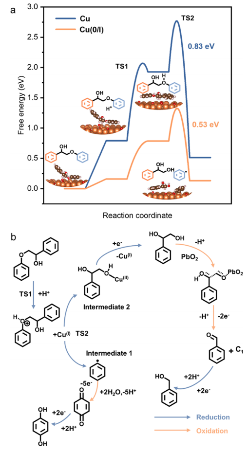 她，博毕4年即任985教授、获「国家优青」，新发今年第4篇JACS！