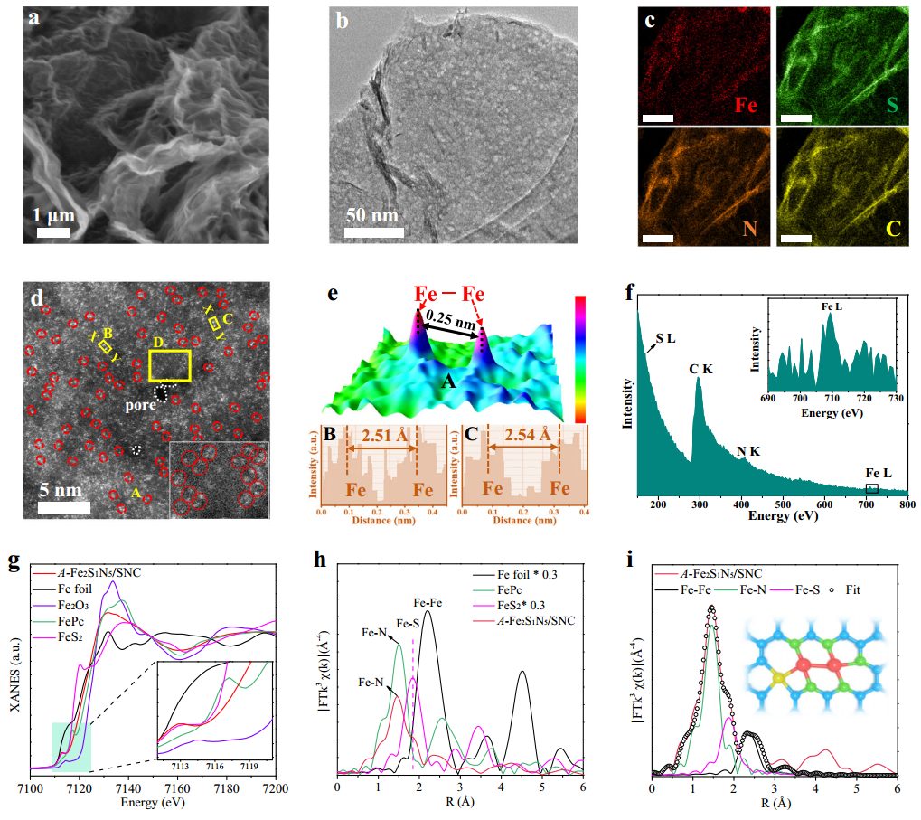 2000h！>97%！郑州大学，新发Nature子刊！