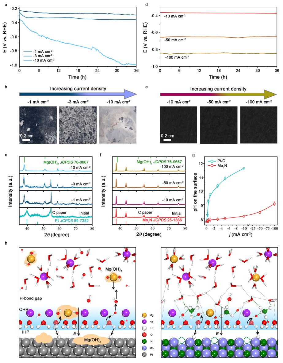 中科大高敏锐，最新Nature子刊！