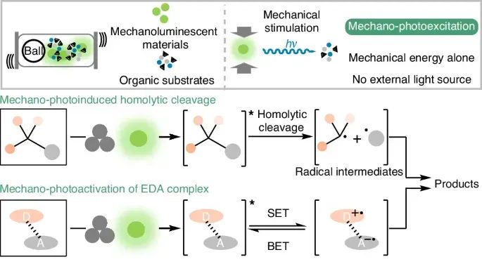 无溶剂、高效光化学转化！西工大，最新Nature synthesis！