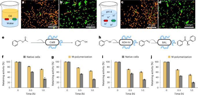 安农大校友，登顶Nature Catalysis！