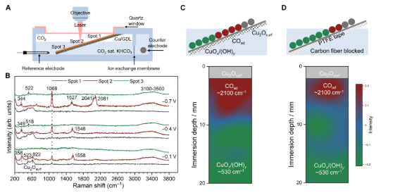 640 mA/cm²！他，Sci. Adv.副主编，联手「国家高层次青年人才」，新发Science子刊！