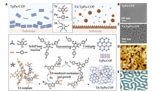 COF膜！博士生一作！哈尔滨工业大学，新发Science子刊！