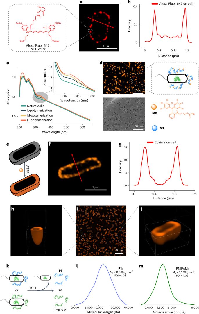 安农大校友，登顶Nature Catalysis！