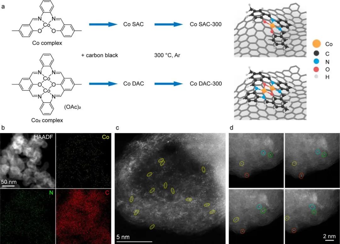 打破约束！他，回国即博导/独立PI、「国家高层次人才」，最新JACS！