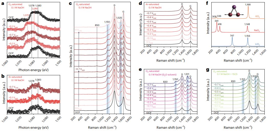 颠覆认知！他，师从催化大牛，首席研究科学家，新发Nature大子刊！