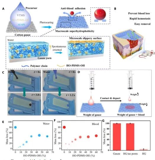 第一完成单位！这所双非高校，新发Science子刊！