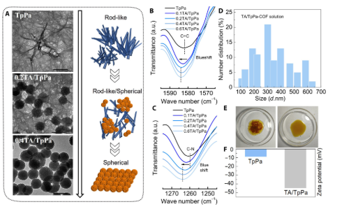 COF膜！博士生一作！哈尔滨工业大学，新发Science子刊！