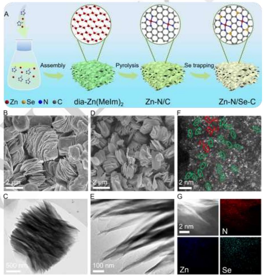 CO₂还原！他，42岁发校史首篇Science，「国家杰青」，现任985院长，一天发2篇Angew！