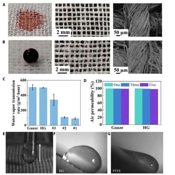 第一完成单位！这所双非高校，新发Science子刊！