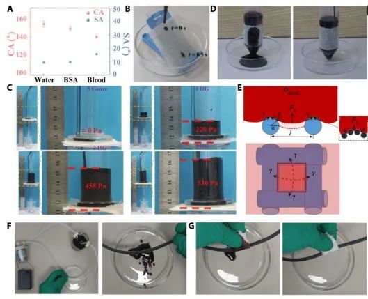 第一完成单位！这所双非高校，新发Science子刊！