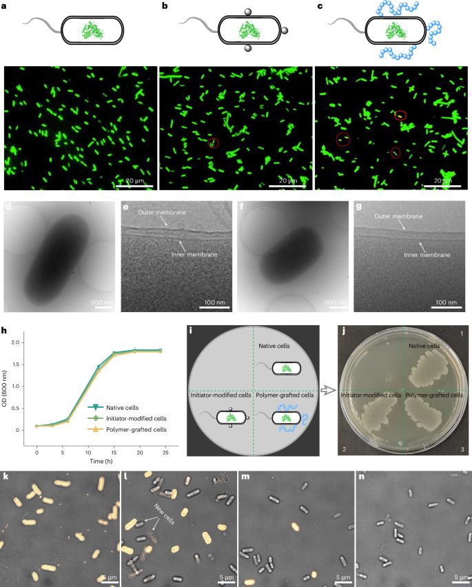 安农大校友，登顶Nature Catalysis！