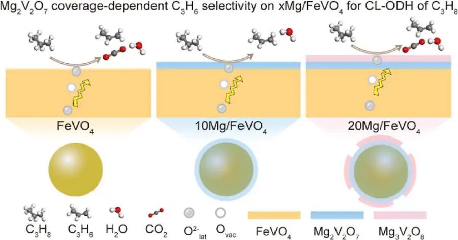 巩金龙，最新ACS Catalysis！