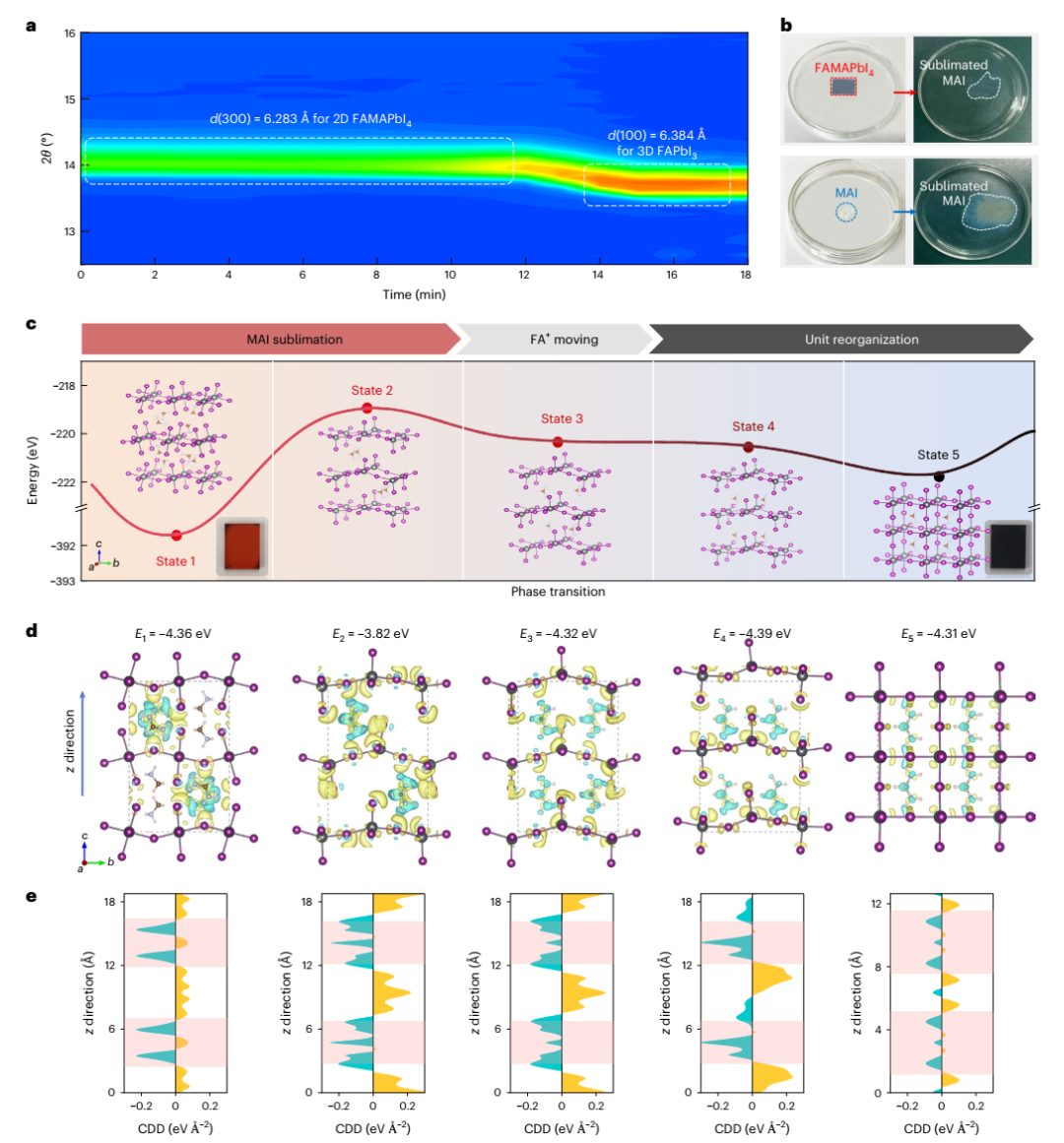 牛！武汉纺织大学第一单位，开年首篇Nature Synthesis！