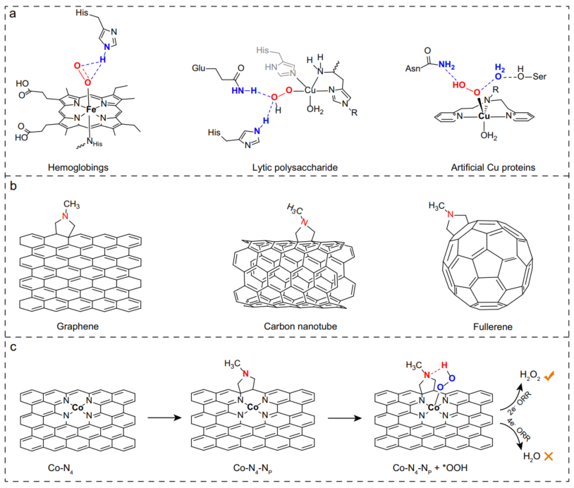 硕士一作！他，师从孙立成，西湖大学PI，新发Nature子刊！