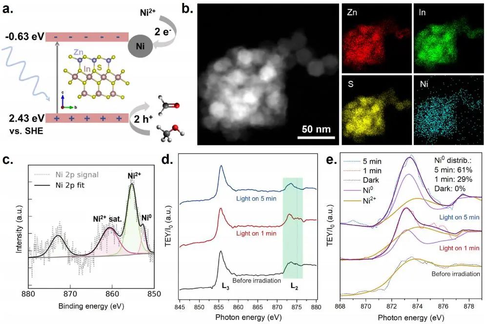 三院院士杨培东，2025年首篇JACS！