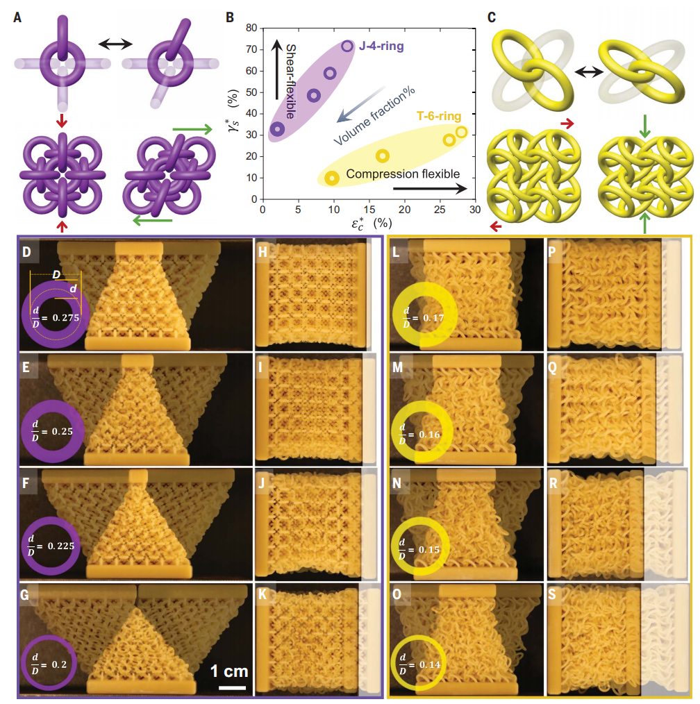 他，南开校友，一作+通讯，登顶今日Science封面！