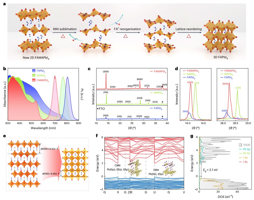 牛！武汉纺织大学第一单位，开年首篇Nature Synthesis！