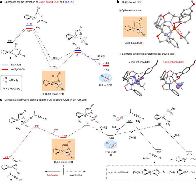 上海有机所，Nature Catalysis！