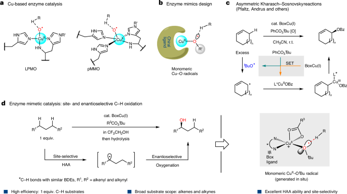 上海有机所，Nature Catalysis！