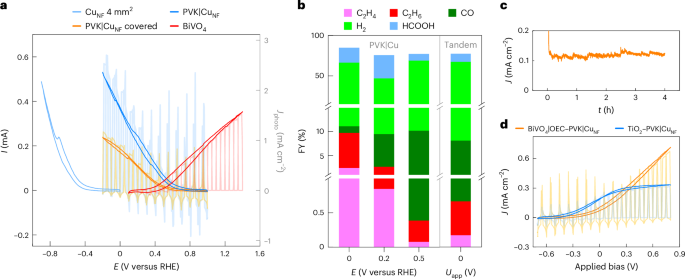 重磅！他，10年当选三院院士，最新Nature Catalysis！