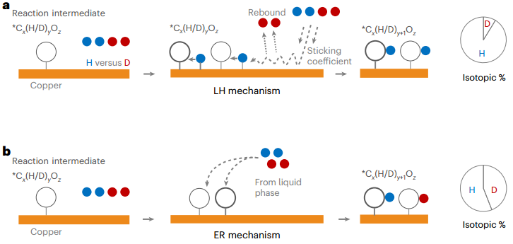 CO2还原！林彦玮/王子运，新发Nature Chemistry！