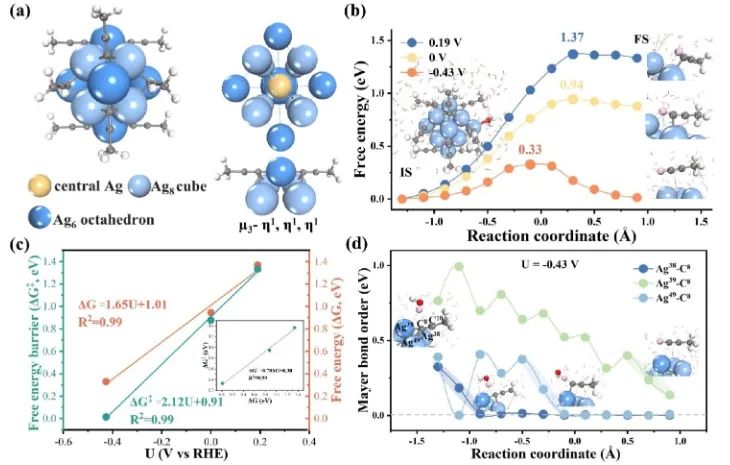 计算+实验！重庆大学JACS：揭示金属-配体界面电化学CO2RR机制