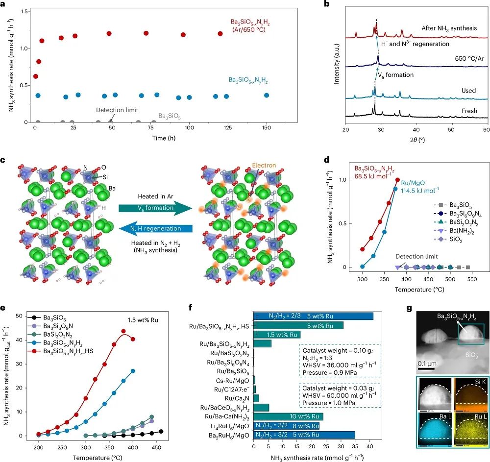 低温氨合成新突破！南京工业大学，第一单位发Nature Chemistry！